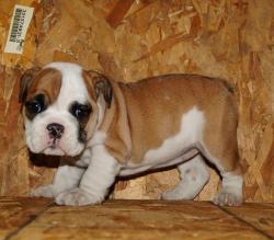 Click sobre la imagen para ampliarla