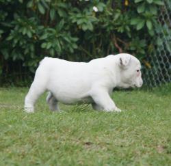 Click sobre la imagen para ampliarla