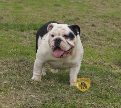 Click sobre la imagen para ampliarla