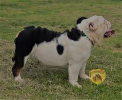 Click sobre la imagen para ampliarla