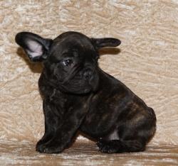 Click sobre la imagen para ampliarla