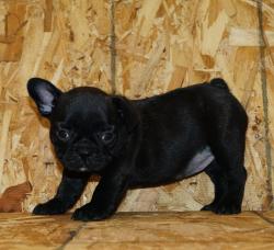 Click sobre la imagen para ampliarla