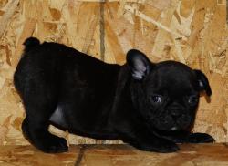 Click sobre la imagen para ampliarla