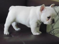 Click sobre la imagen para ampliarla