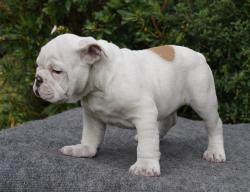 Click sobre la imagen para ampliarla