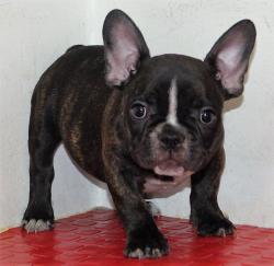 Click sobre la imagen para ampliarla