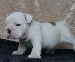 Click sobre la imagen para ampliarla