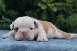 Click sobre la imagen para ampliarla