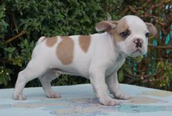 Click sobre la imagen para ampliarla