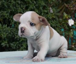 Click sobre la imagen para ampliarla