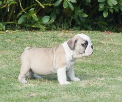 Click sobre la imagen para ampliarla