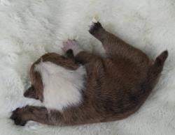 Click sobre la imagen para ampliarla