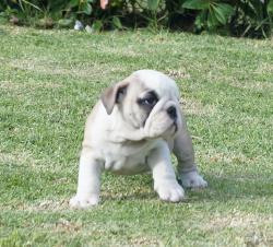 Click sobre la imagen para ampliarla