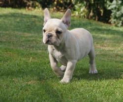 Click sobre la imagen para ampliarla