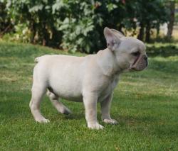 Click sobre la imagen para ampliarla