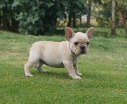 Click sobre la imagen para ampliarla