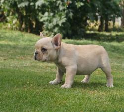 Click sobre la imagen para ampliarla