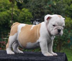 Click sobre la imagen para ampliarla