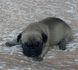 Click sobre la imagen para ampliarla