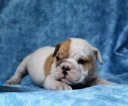 Click sobre la imagen para ampliarla