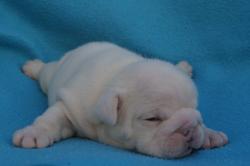 Click sobre la imagen para ampliarla