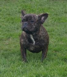 Click sobre la imagen para ampliarla