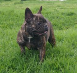 Click sobre la imagen para ampliarla