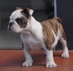 Click sobre la imagen para ampliarla