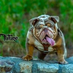 Click sobre la imagen para ampliarla