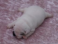 Click sobre la imagen para ampliarla