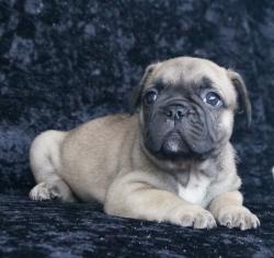 Click sobre la imagen para ampliarla