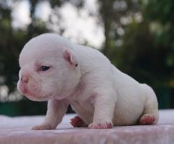 Click sobre la imagen para ampliarla