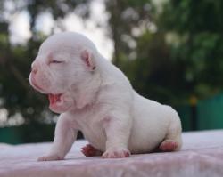 Click sobre la imagen para ampliarla