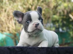 Click sobre la imagen para ampliarla