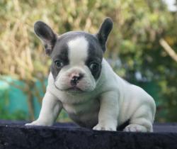 Click sobre la imagen para ampliarla