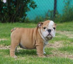 Click sobre la imagen para ampliarla