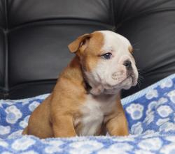 Click sobre la imagen para ampliarla