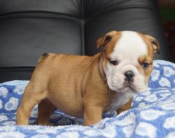 Click sobre la imagen para ampliarla