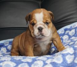 Click sobre la imagen para ampliarla