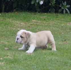 Click sobre la imagen para ampliarla