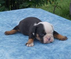 Click sobre la imagen para ampliarla