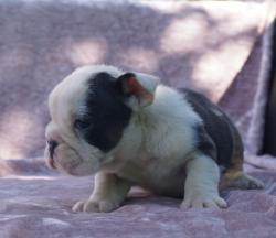 Click sobre la imagen para ampliarla