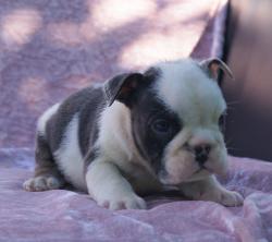 Click sobre la imagen para ampliarla