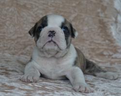 Click sobre la imagen para ampliarla