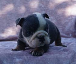 Click sobre la imagen para ampliarla