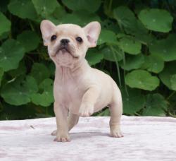 Click sobre la imagen para ampliarla