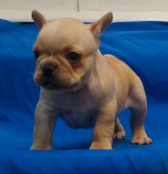 Click sobre la imagen para ampliarla