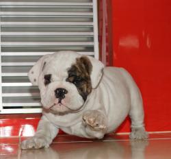 Click sobre la imagen para ampliarla