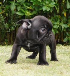 Click sobre la imagen para ampliarla