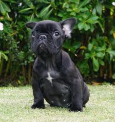 Click sobre la imagen para ampliarla